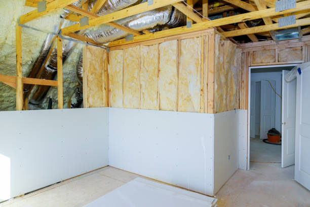 Best Professional Insulation Contractor  in Shepherd, TX