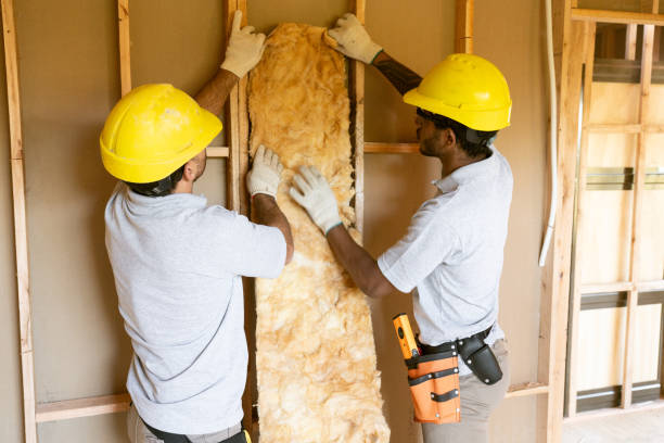 Best Blown-in Insulation  in Shepherd, TX