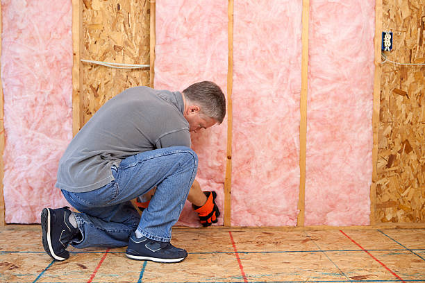 Best Crawl Space Insulation  in Shepherd, TX