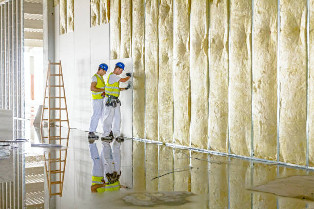 Best Insulation Contractors for Homes  in Shepherd, TX